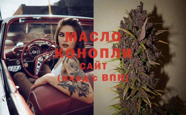 apvp Алексин