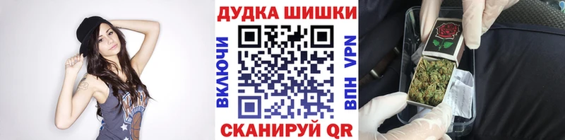наркота  Питкяранта  Шишки марихуана конопля 